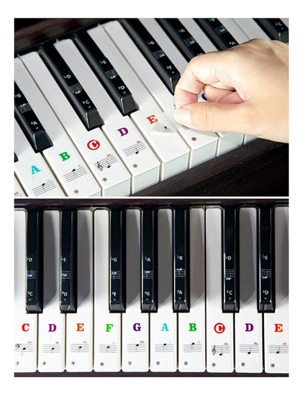 Pegatinas Para Teclado De Piano Para Teclas 37/49/54/61/88 - Imagen 3