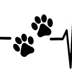 Vinilo Tuning Autos Ploter Calco Huella Perrito Cardio