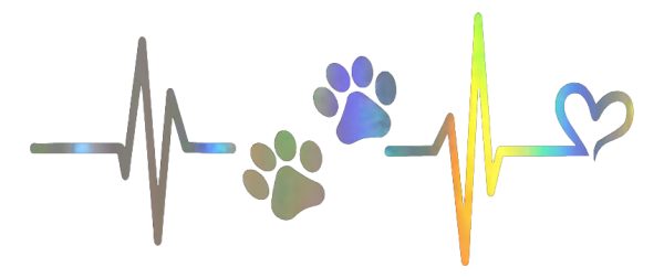 Vinilo Tuning Autos Ploter Calco Huella Perrito Cardio - Imagen 5