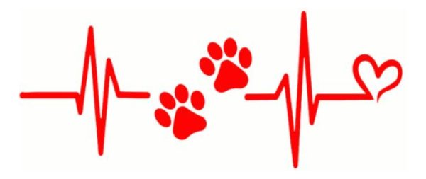 Vinilo Tuning Autos Ploter Calco Huella Perrito Cardio - Imagen 11