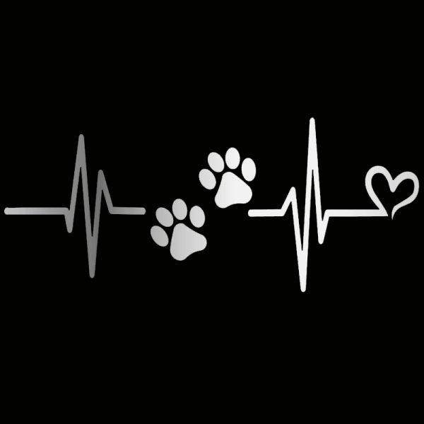 Vinilo Tuning Autos Ploter Calco Huella Perrito Cardio - Imagen 10